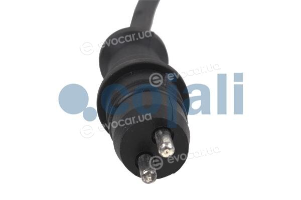 Cojali 2261159