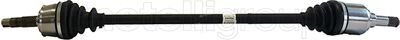 Cifam 655-800
