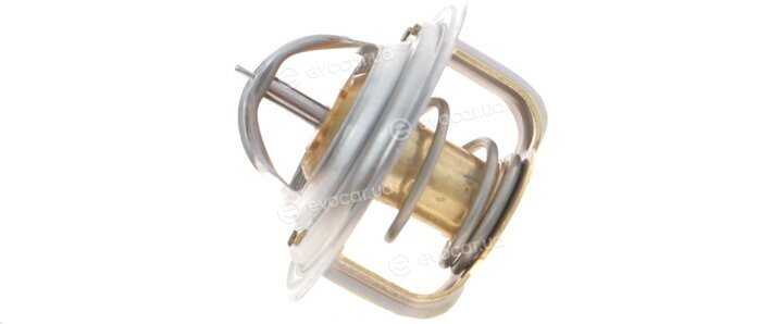 Mahle TX 1 92D