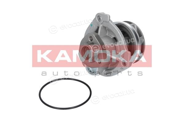 Kamoka T0234