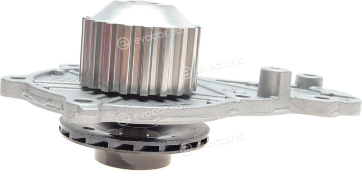 Continental CT1162WP5