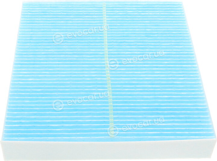 Blue Print ADN12544