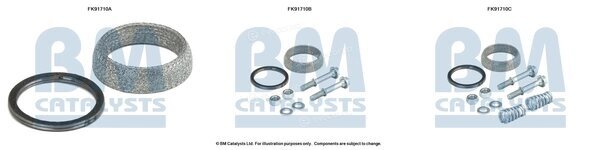 BM Catalysts FK91710