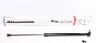 Lesjofors 8162044