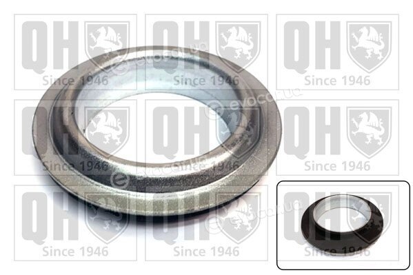 Quinton Hazell EMR4839