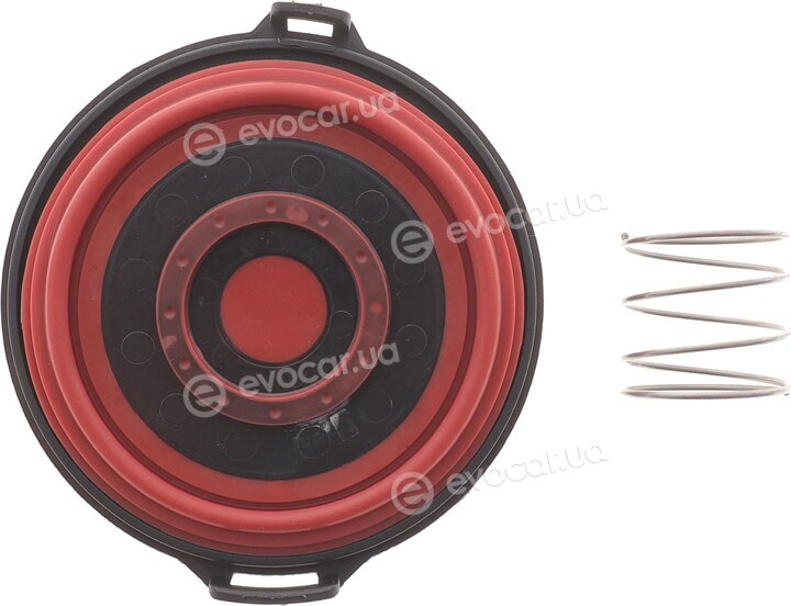 Solgy 124050