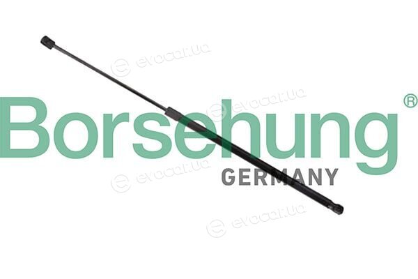 Borsehung B13251