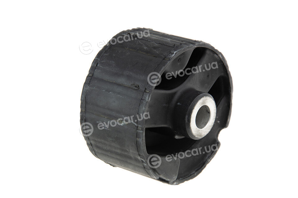 NTY ZPS-PL-006