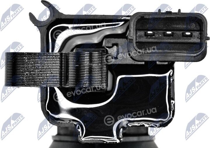 NTY ECZ-MS-005