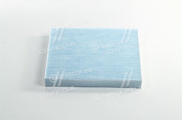 Blue Print ADG02528