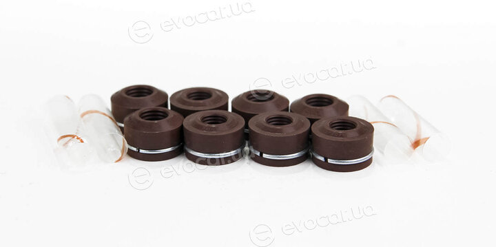 Elring 764.019