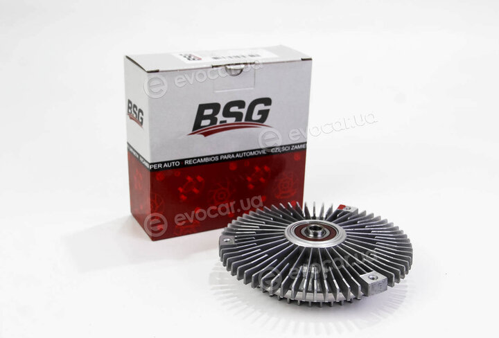 BSG BSG 60-505-003