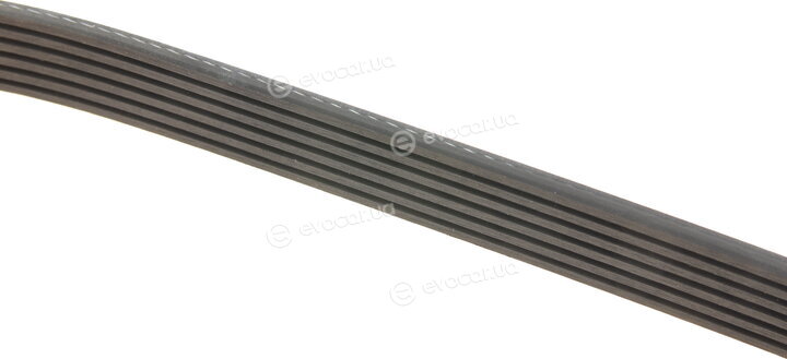 Gates 6PK2305