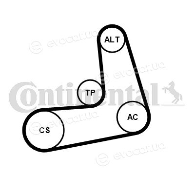 Continental 6PK1005K2