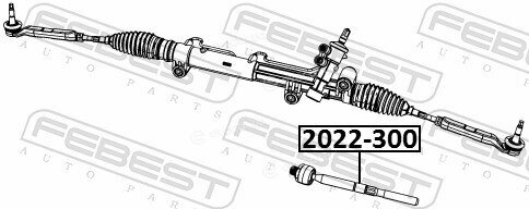 Febest 2022-300
