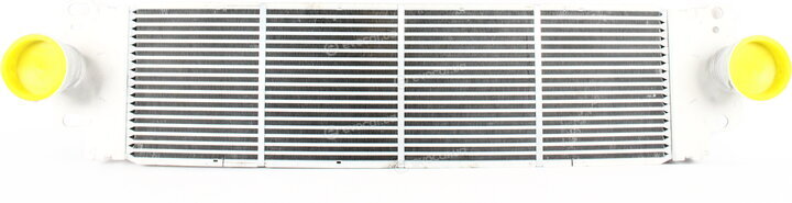 Zilbermann 04-807