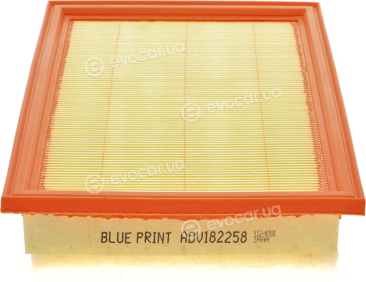 Blue Print ADV182258