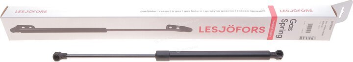 Lesjofors 8072904