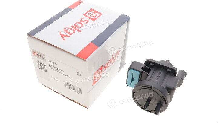 Solgy 402002