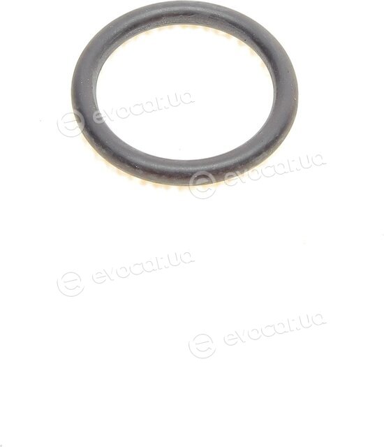 Elring 439.041