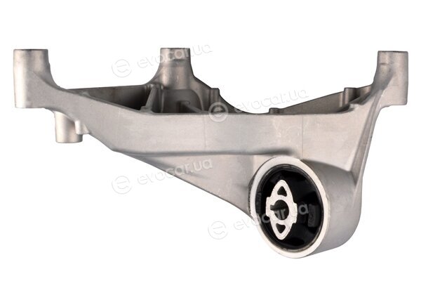 Tedgum TED49363