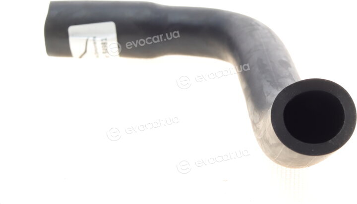 AIC 54981