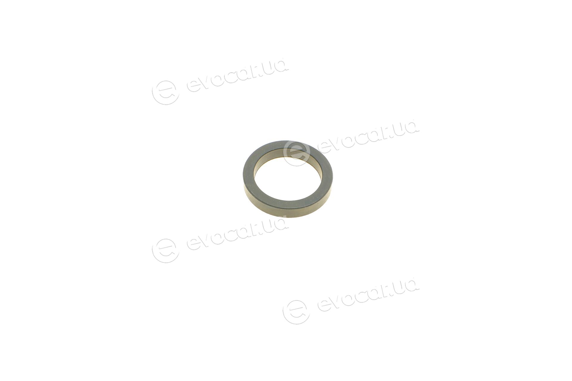 Elring 631.880