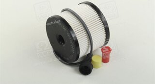 Champion CFF100402