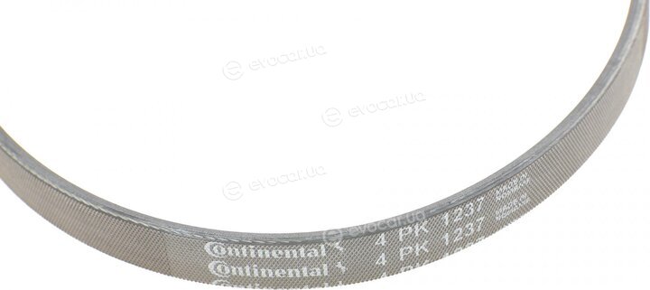 Continental 4PK1237