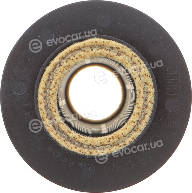 Mahle OX 123/1D