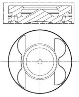 Mahle 001 PI 00190 002