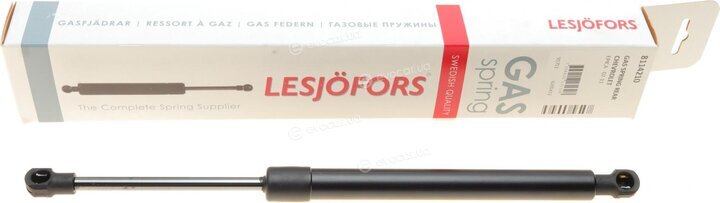 Lesjofors 8114210