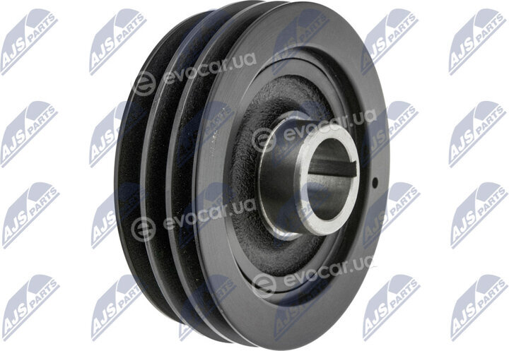 NTY RKP-MS-035