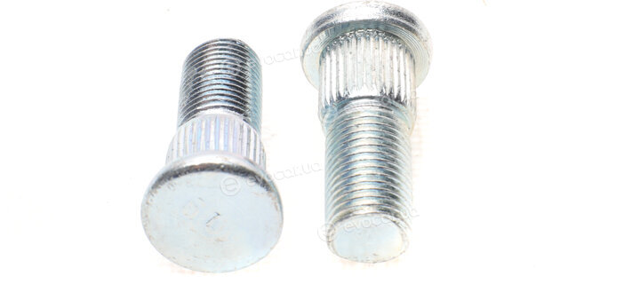 Blue Print ADG086323