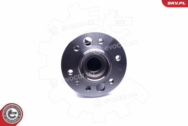 SKV 29SKV184