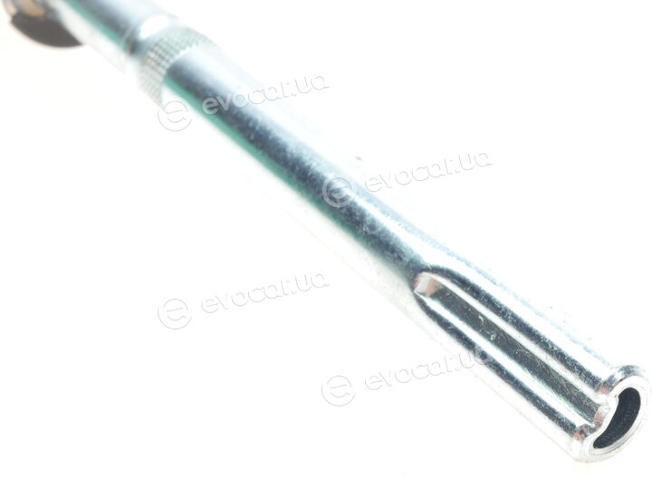 Borsehung B12098