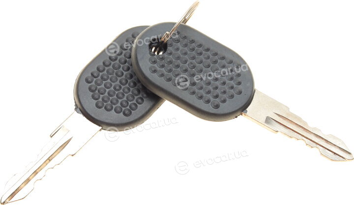 AIC 50593