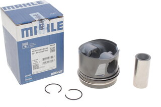 Mahle 001 PI 00190 000