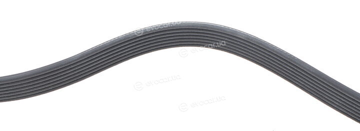 Dayco 7PK1784