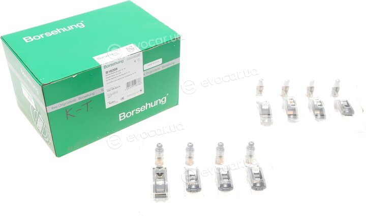 Borsehung B18208