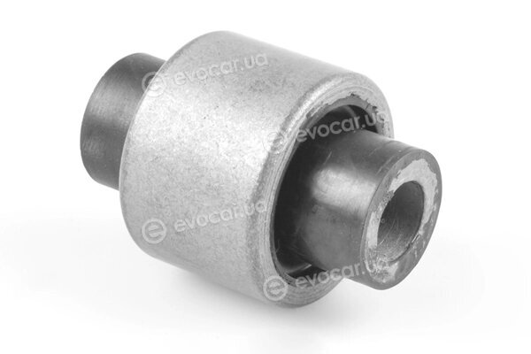 Tedgum TED50091