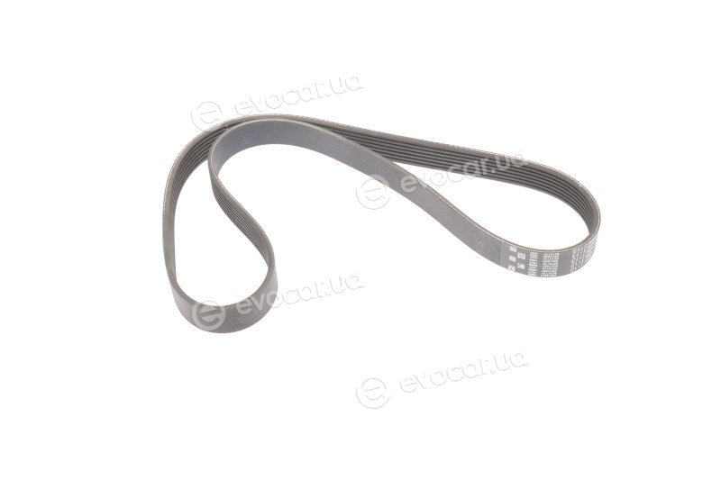 Gates 7PK1113