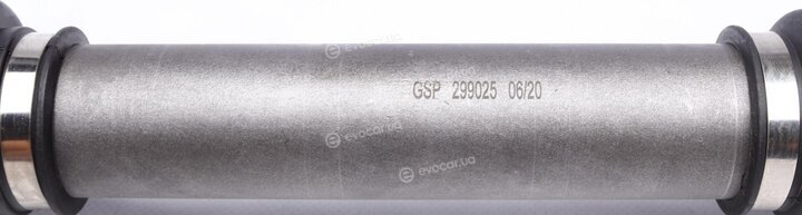 GSP 299025