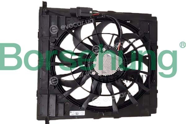 Borsehung B11273