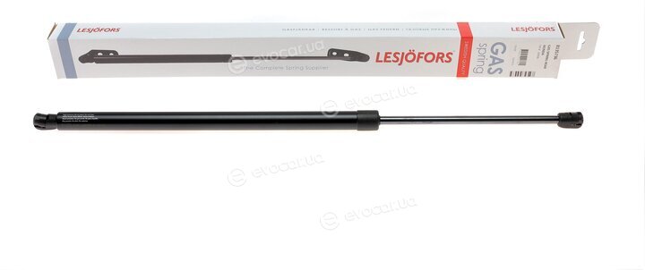 Lesjofors 8135736