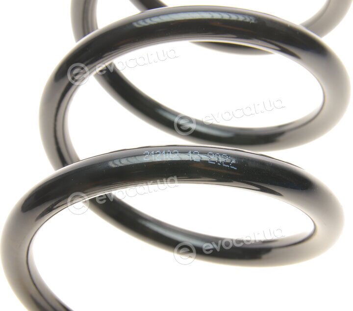 Solgy 212102