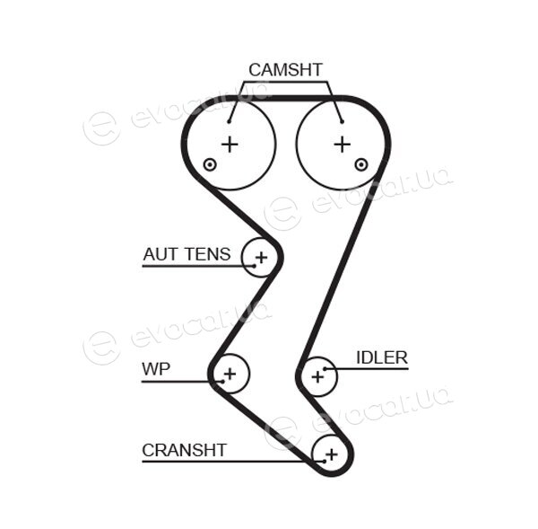 Gates K015582XS