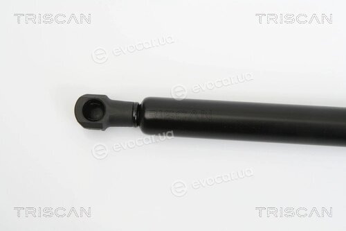 Triscan 8710 25234