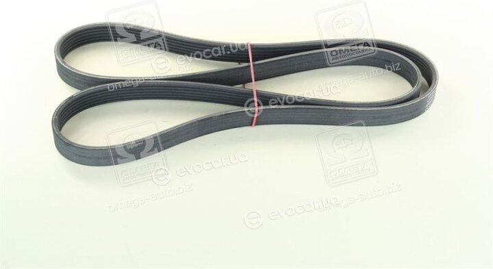 Continental 6PK1530