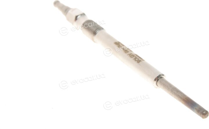 Solgy 116004